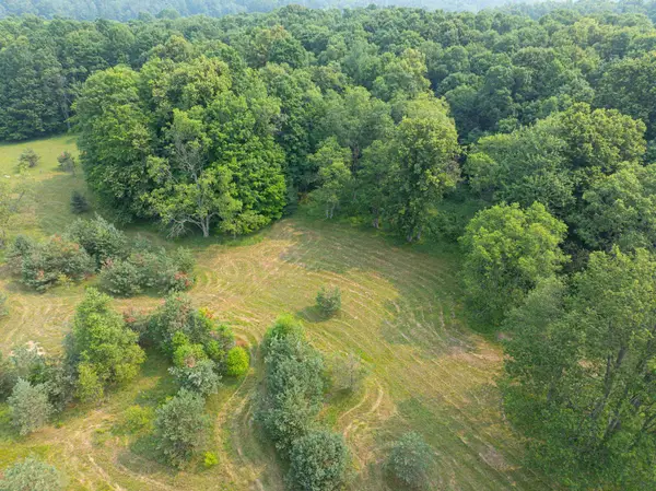 0 Getaway, Kingsley, MI 49649