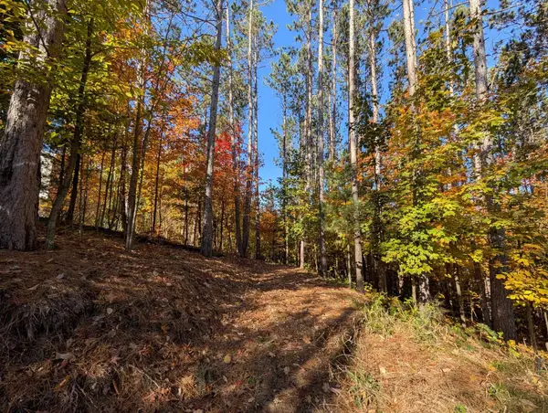 767 Eden, Kingsley, MI 49649