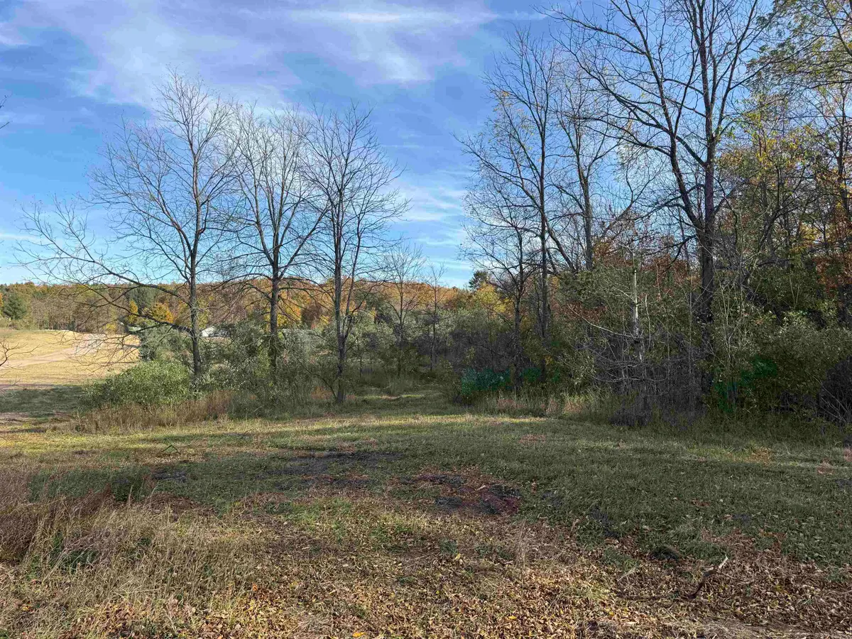 Parcel 2 S Tower, Maple City, MI 49664 - #1