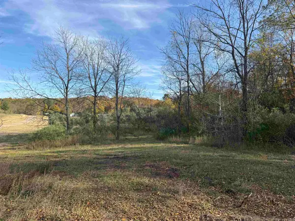 Parcel 2 S Tower, Maple City, MI 49664