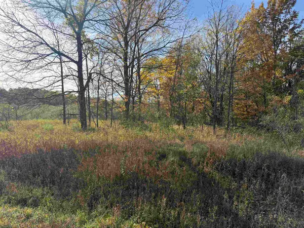 Parcel 5 S Tower, Maple City, MI 49664