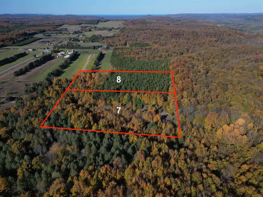 Parcel 8 S Tower, Maple City, MI 49664 - #3