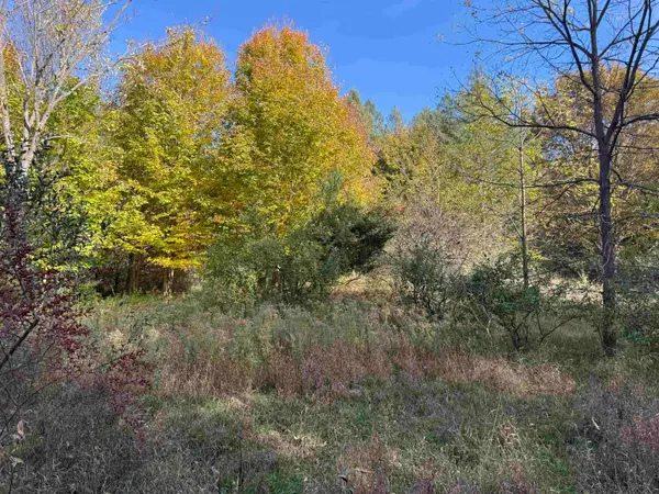 Parcel 6 S Tower, Maple City, MI 49664