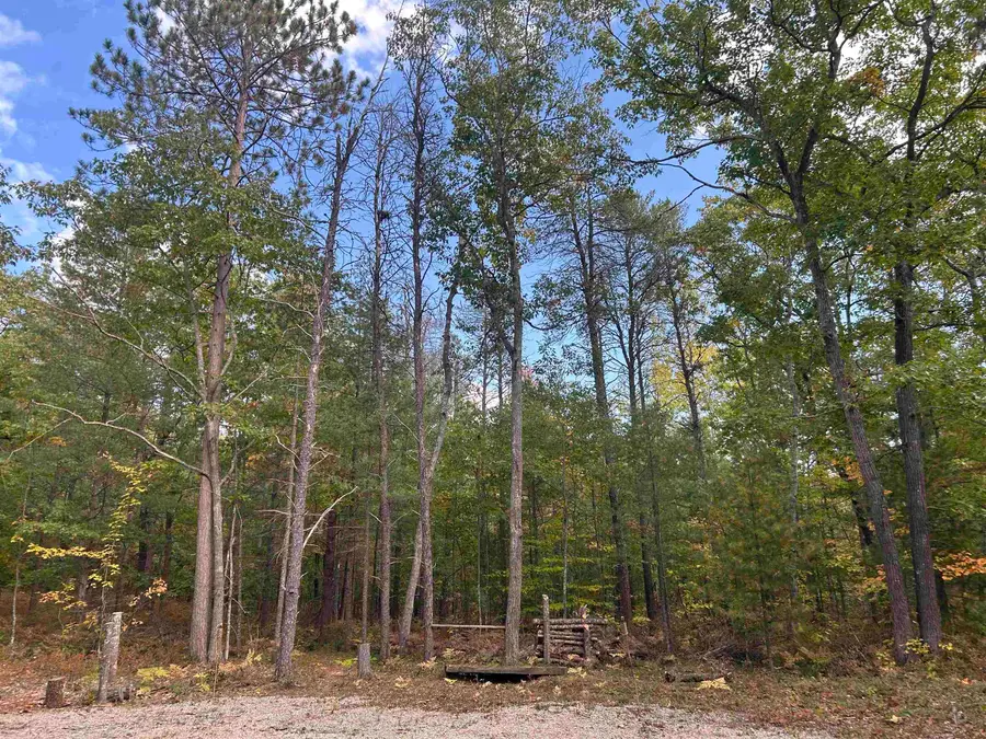 7335 Camp, Millersburg, MI 49759 - #2