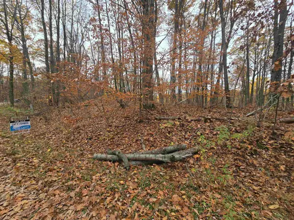Lot #263 Lucerne, Reed City, MI 49677
