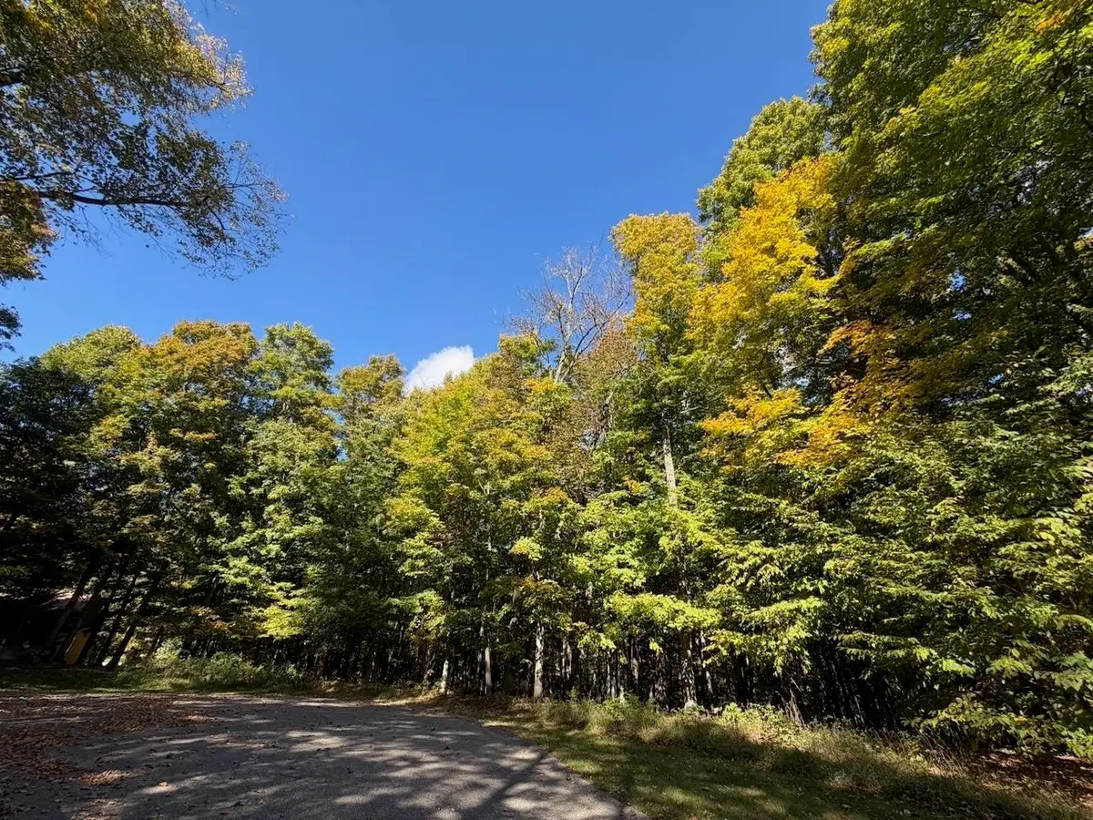 5705 Point Of Woods, Bellaire, MI 49615 - #1