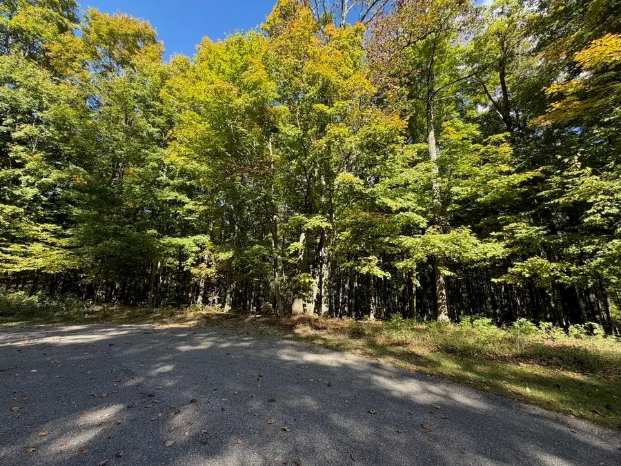 5705 Point Of Woods, Bellaire, MI 49615 - #3