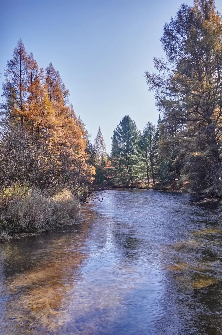 5110 Pumpanickel, Traverse City, MI 49696 - #2