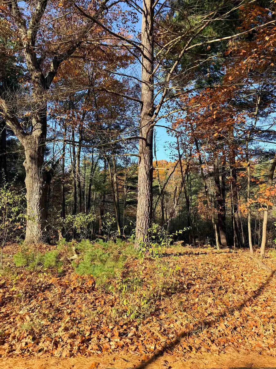 TBD Cherry, Lakeview, MI 48850 - #2