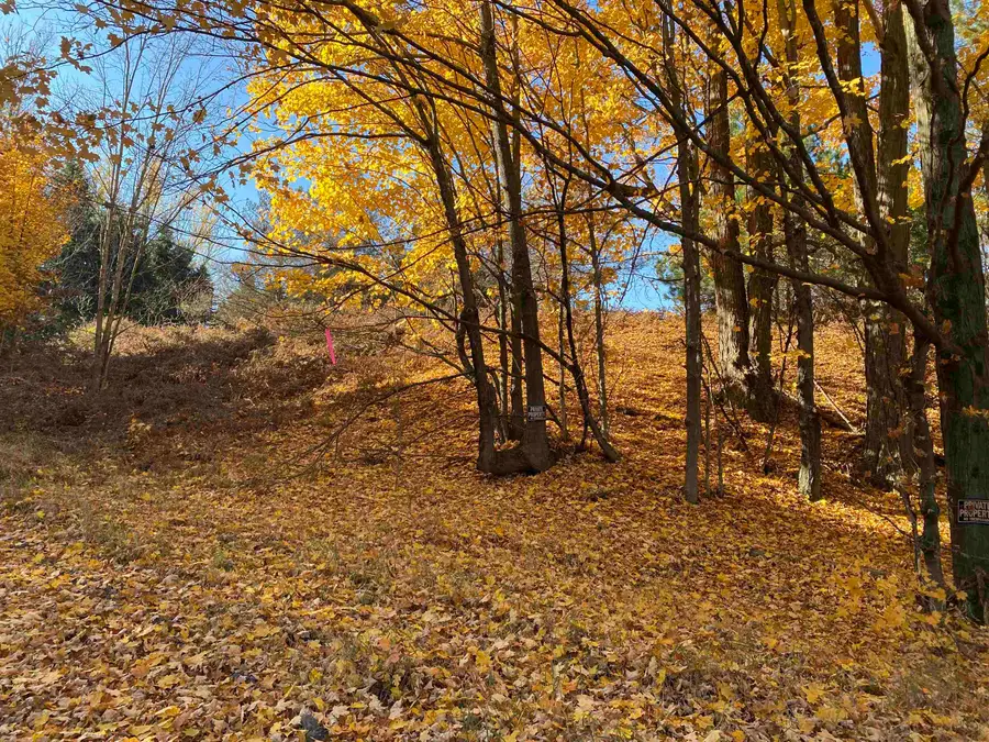 00 Bliss, Bellaire, MI 49615 - #3