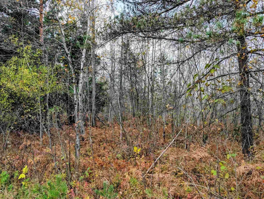 N/A Mackinaw, Turner, MI 48765 - #2