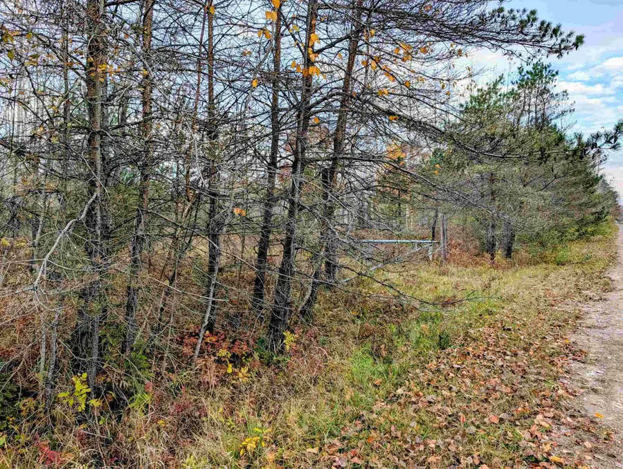 N/A Mackinaw, Turner, MI 48765 - #3