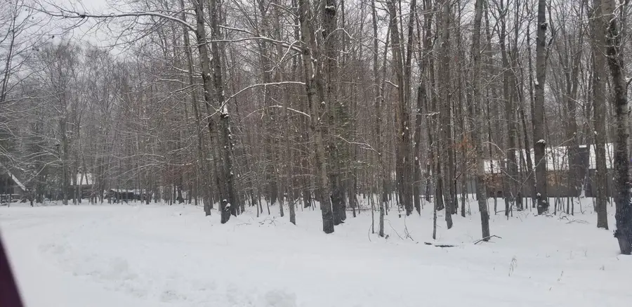 323 Dogwood Court, Gaylord, MI 49735 - Image #2