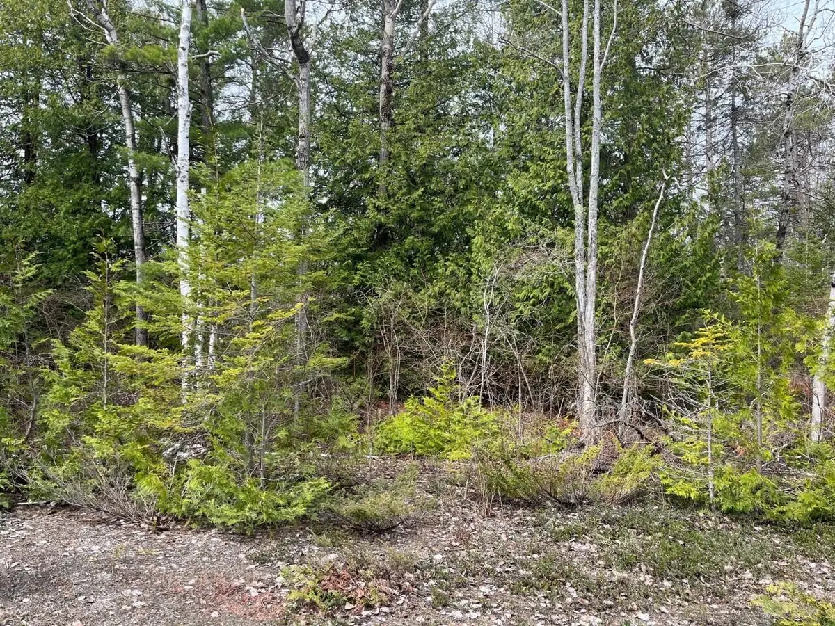 Lot 15 E Grand Lake Rd, Presque Isle, MI 49777 - Image #1