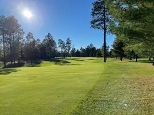 Unit #3 E Sucker Creek Road, Spruce, MI 48762 - Image #3