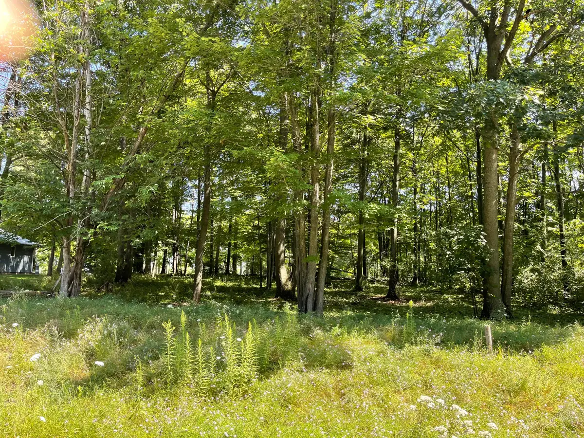 Questview Drive, Houghton Lake, MI 48629 - Image #1