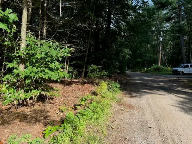 #3 S Perch Lake Drive, Gaylord, MI 49735 - Image #3