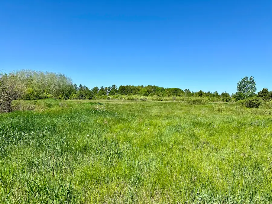 31.44 AC N Straits Highway, Cheboygan, MI 49721 - #3