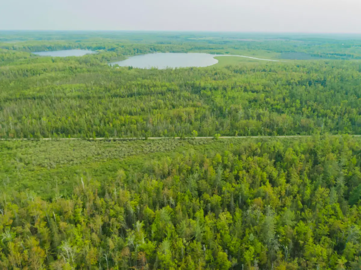 Off Big Cut Highway, Millersburg, MI 49759 - Image #1