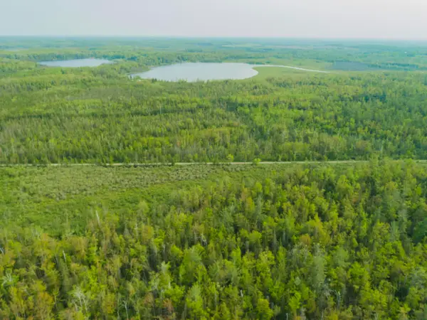 Off Big Cut Highway, Millersburg, MI 49759