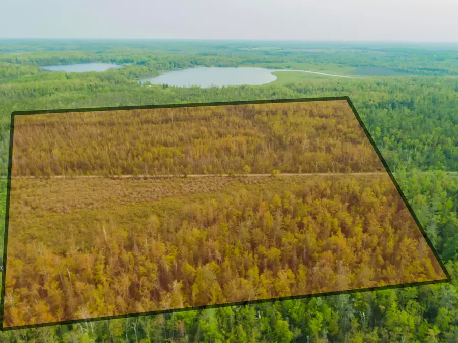 Off Big Cut Highway, Millersburg, MI 49759 - Image #2