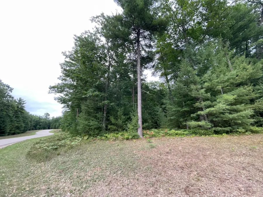 6893 Sequoia Drive, Indian River, MI 49749 - Image #3