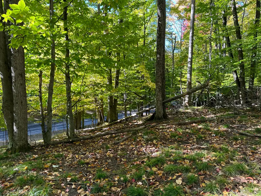 115 Doe Path Place, Gaylord, MI 49735 - Image #3