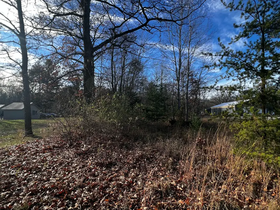 4732 S Straits Highway, Indian River, MI 49749 - Image #3