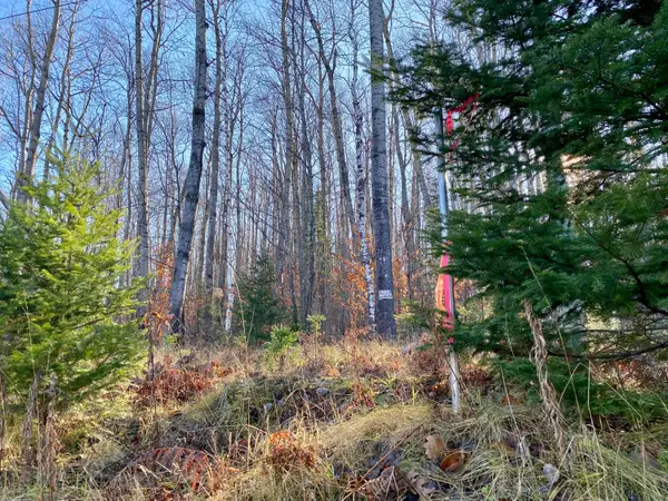 Lots 36-39 Chemin De La Montagne, Wolverine, MI 49799