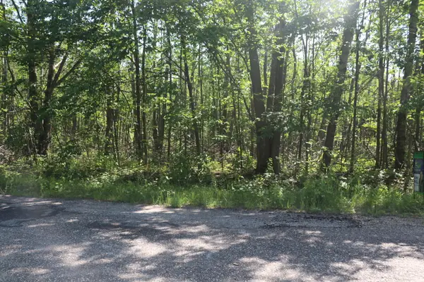 Laming Circle, Elmira, MI 49730