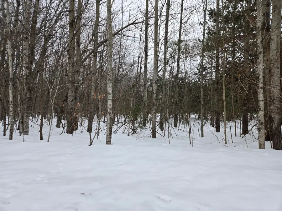 Laming Circle, Elmira, MI 49730 - Image #3