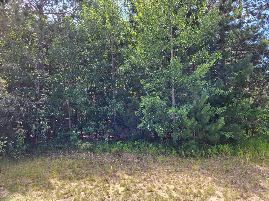 Unit #9 Bear Paws Trail, Vanderbilt, MI 49795 - Image #3