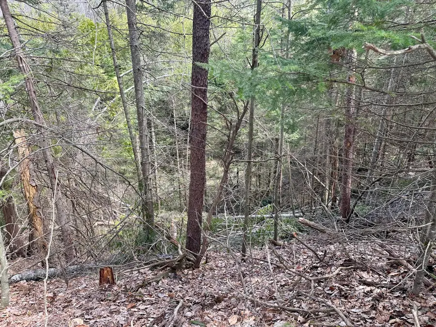 4409 Big Sky Trail, Indian River, MI 49749 - Image #2