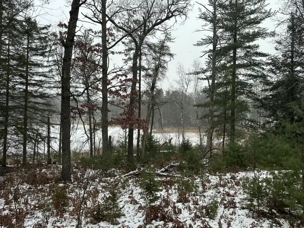 4810 Tote Road, Comins, MI 48619