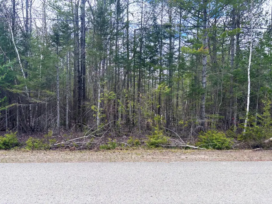Lot 249 Kauffman Road, Presque Isle, MI 49777 - Image #3