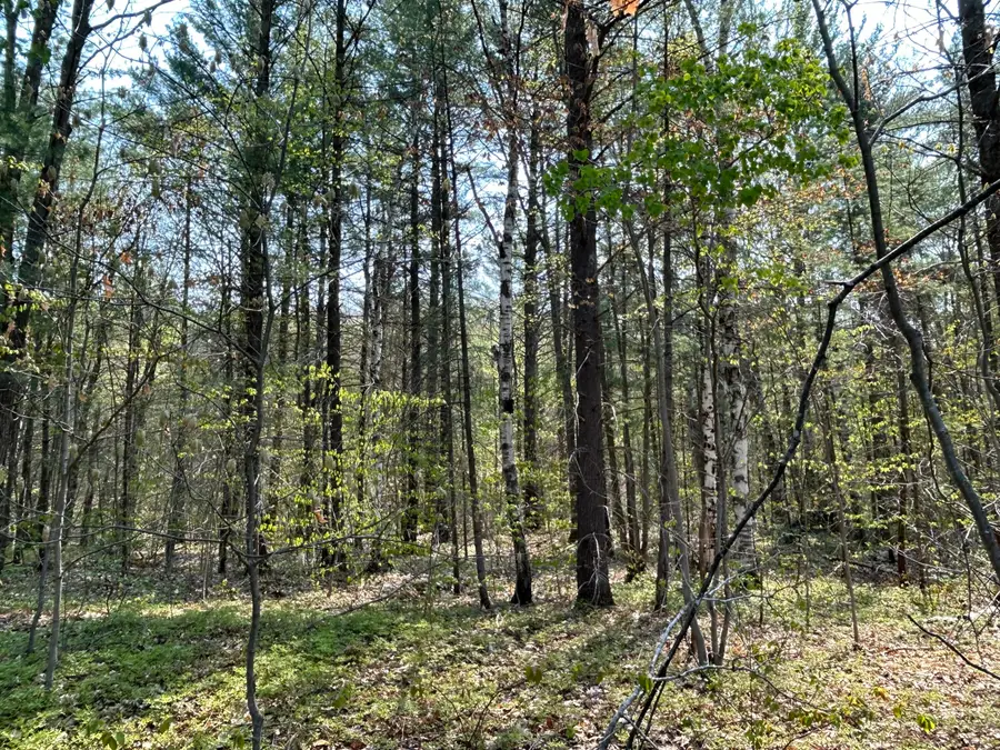 Unit 3 Lakeview Drive, Gaylord, MI 49735 - Image #2