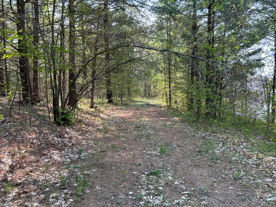 Unit 3 Lakeview Drive, Gaylord, MI 49735 - Image #3