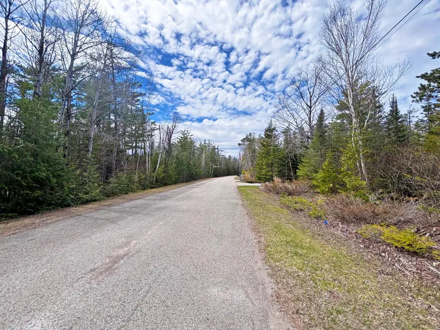 Lot 116 W Norwood Court, Presque Isle, MI 49777 - Image #2