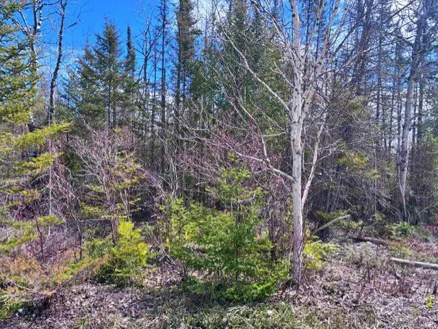 Lot 338 County Rd. 638, Presque Isle, MI 49777 - Image #1