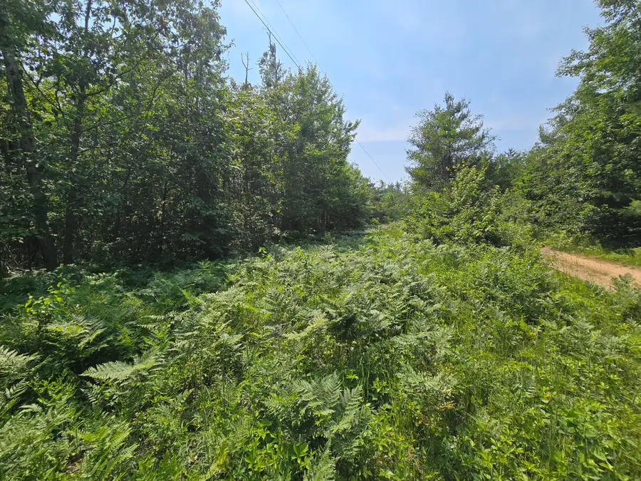 Iroquois Trail, Gaylord, MI 49735 - Image #2