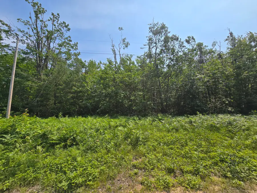 Iroquois Trail, Gaylord, MI 49735 - Image #3