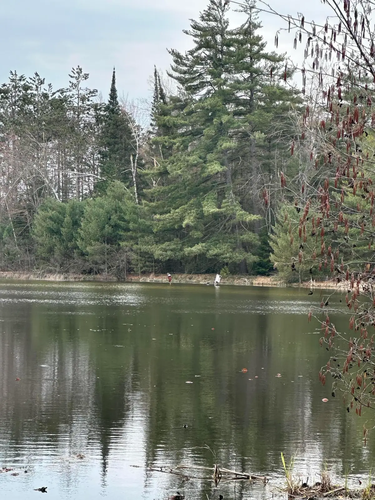 XXX Doty Street, Atlanta, MI 49709 - Image #1