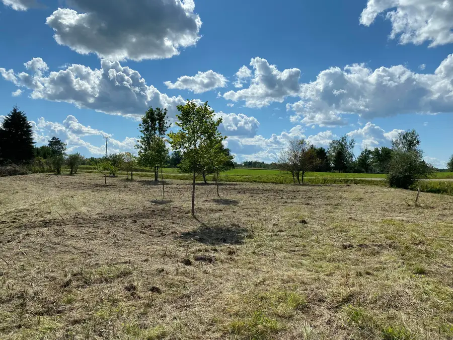 72 Butman Road, Gladwin, MI 48624 - #3