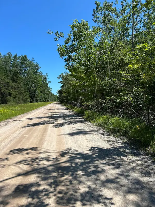 Parcel ''E Woodmansee Road, Cheboygan, MI 49721