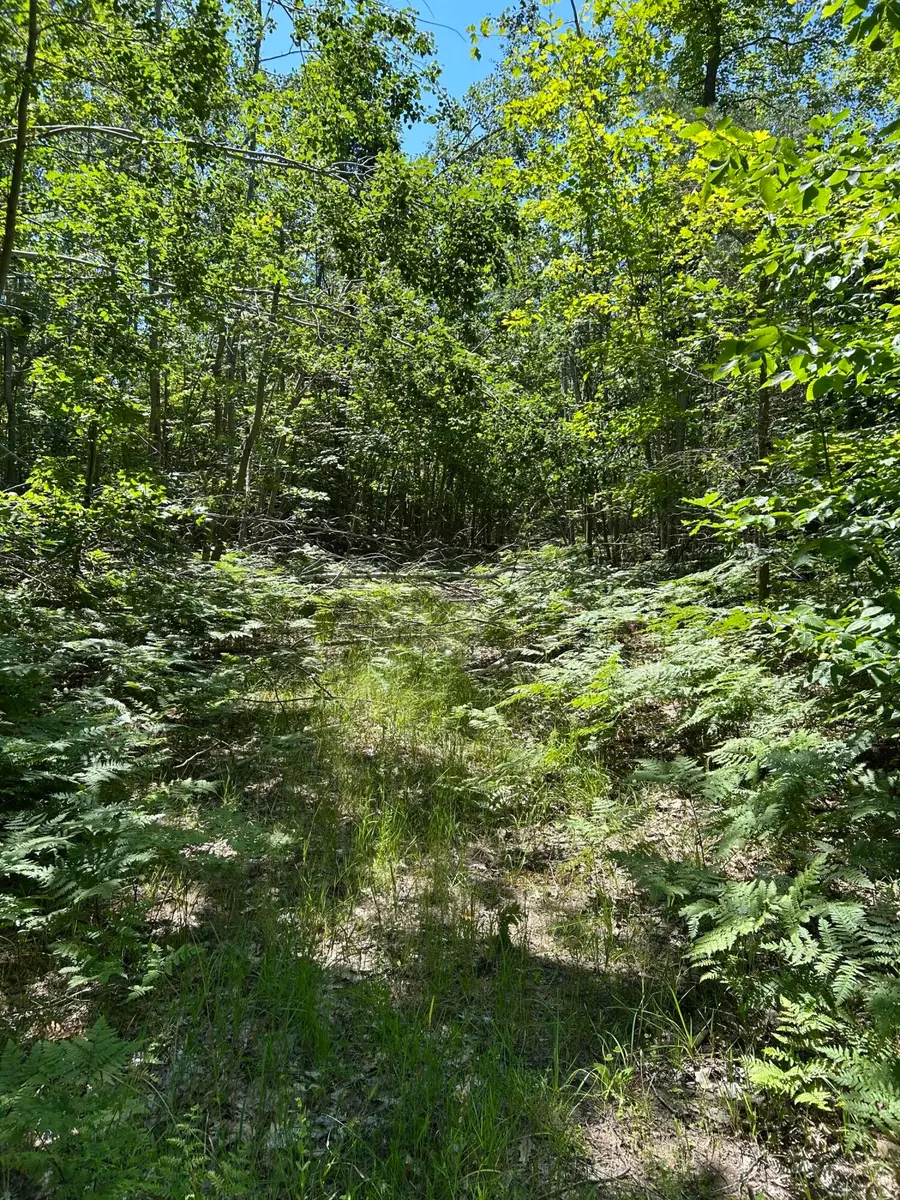 Parcel ''E Woodmansee Road, Cheboygan, MI 49721 - Image #2