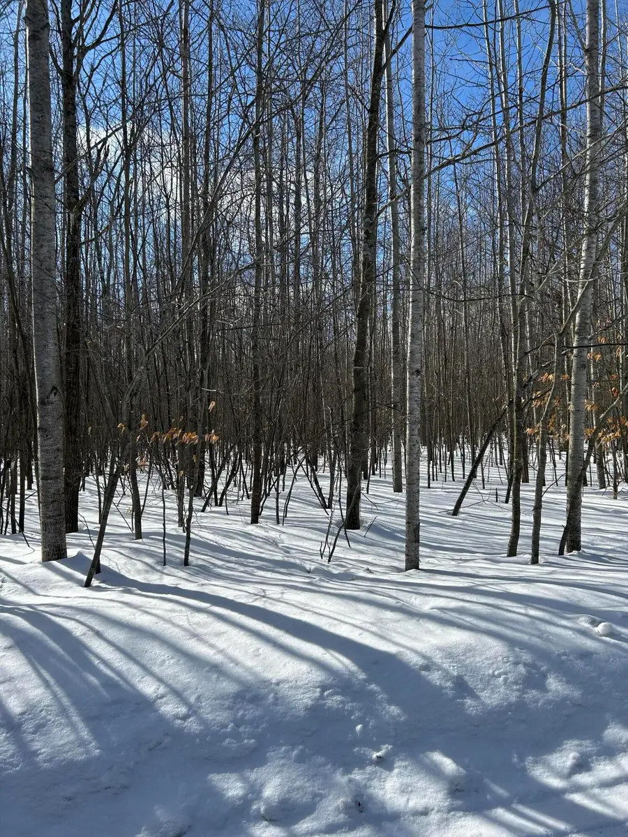 Parcel ''E Woodmansee Road, Cheboygan, MI 49721 - Image #3