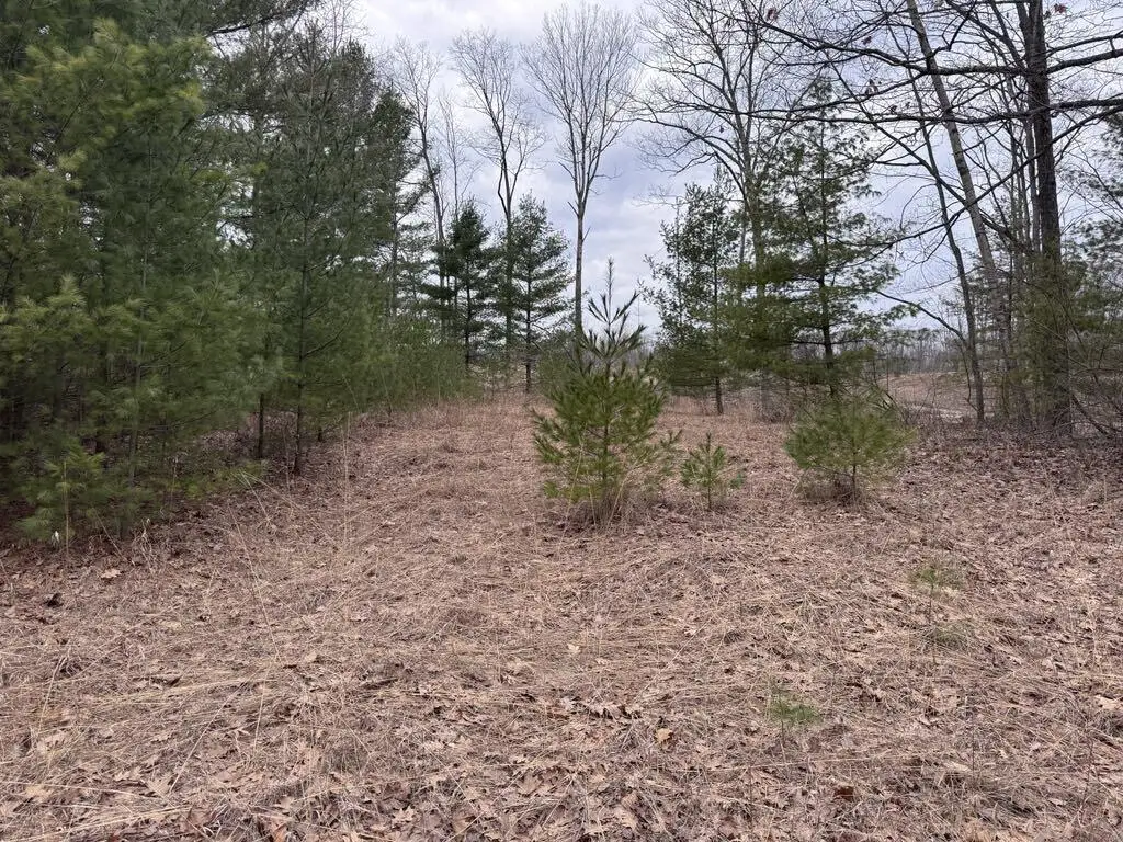 LOT#26 Mt. Maria, Hubbard Lake, MI 49747 - Image #1