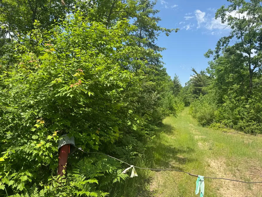 Off Of Lakeside Trail, Barton City, MI 48705 - Image #2