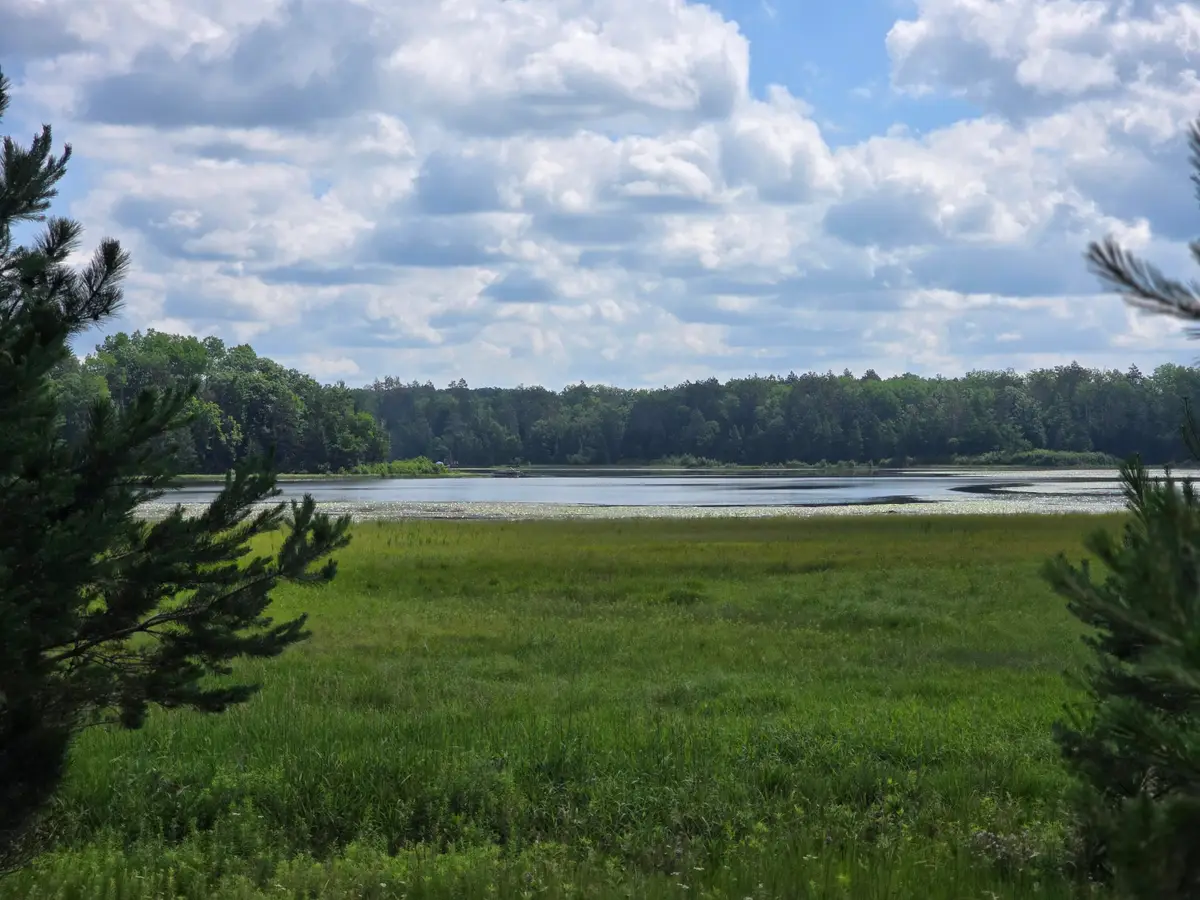 off Mccollum Lake Road, Curran, MI 48728 - Image #1