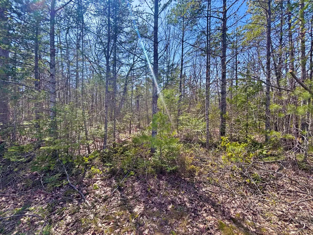 Lot 375 Kauffman Road, Presque Isle, MI 49777 - Image #1